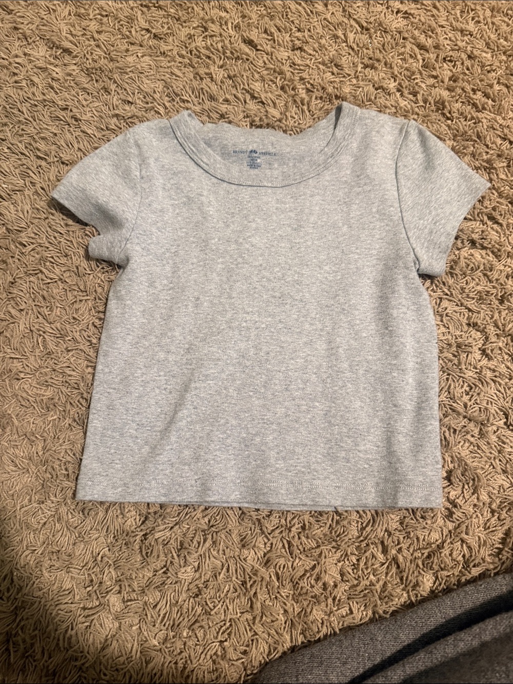 Brandy Melville grey baby tee